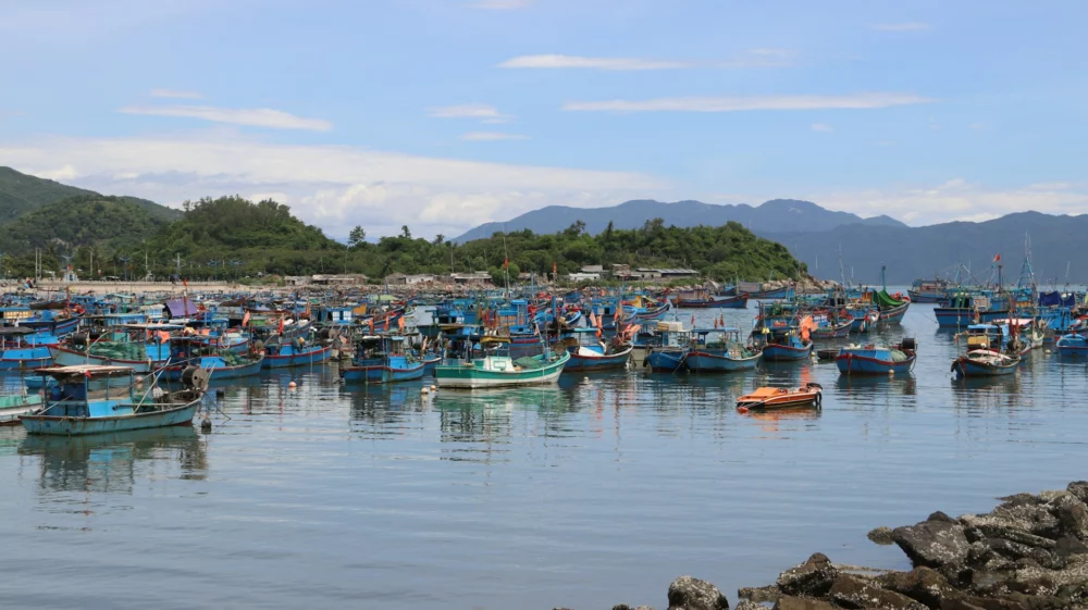 fishing boats