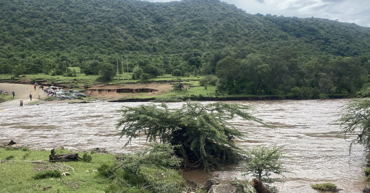 A rising river is flooding a shrub tree in the foreground with grassy banks, and a forested mountain is in the background under cloudy skies.