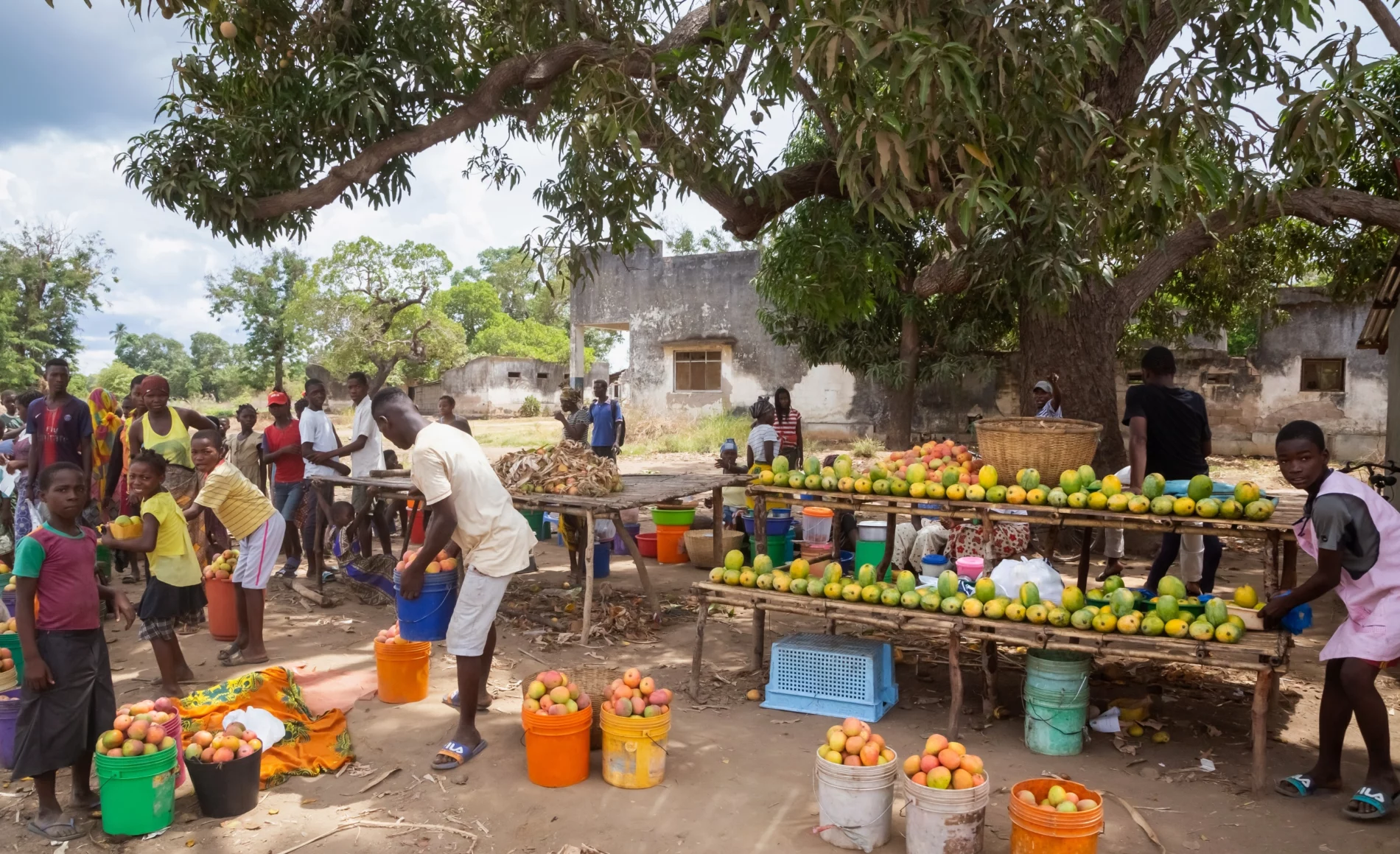 Mango sellers in Mozambique