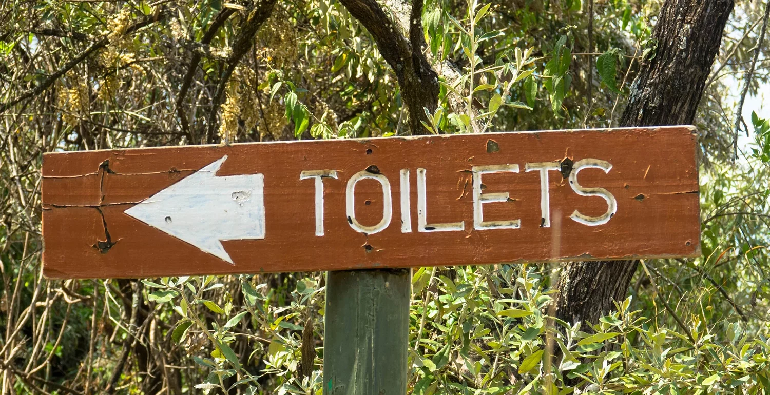 A vertical view of classic simple design handmade wooden sign of toilet give direction to WC