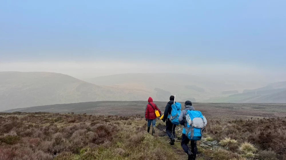 A line of three people wrapped up in winter clothing walk on a narrow path across a wide heather moor.