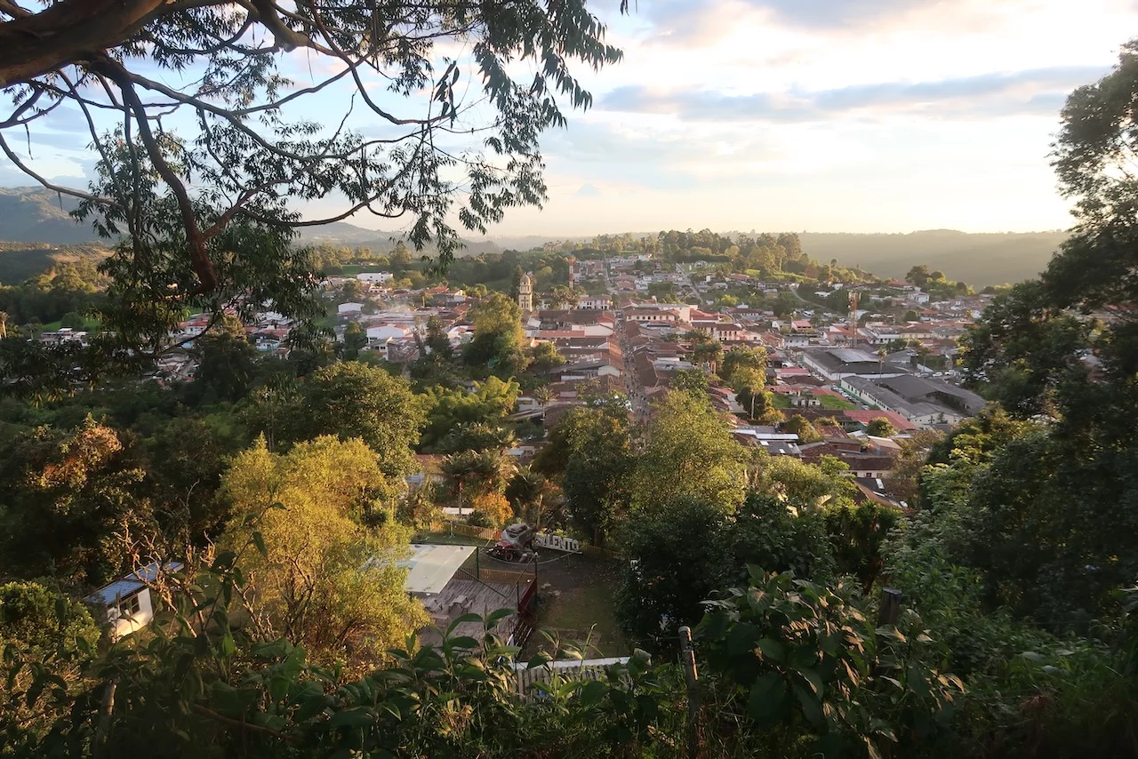 a town sits below the feet of the viewer, extending to hills at the horizon, with green evergreens framing the image.