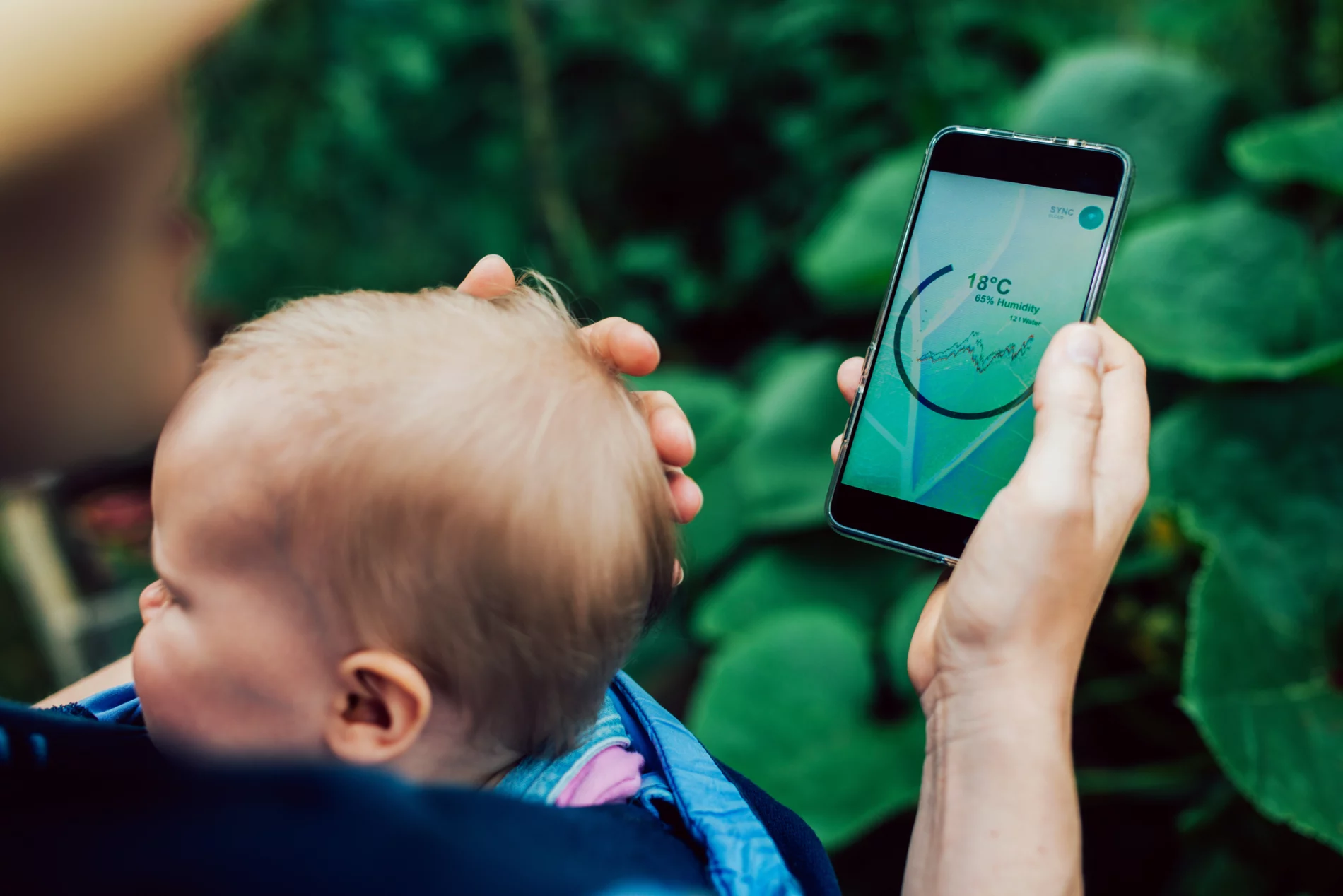 Woman with baby in carrier on her chest rests her hand gently on baby's head. She is looking at mobile phone, using an app for analysing growth conditions in garden.