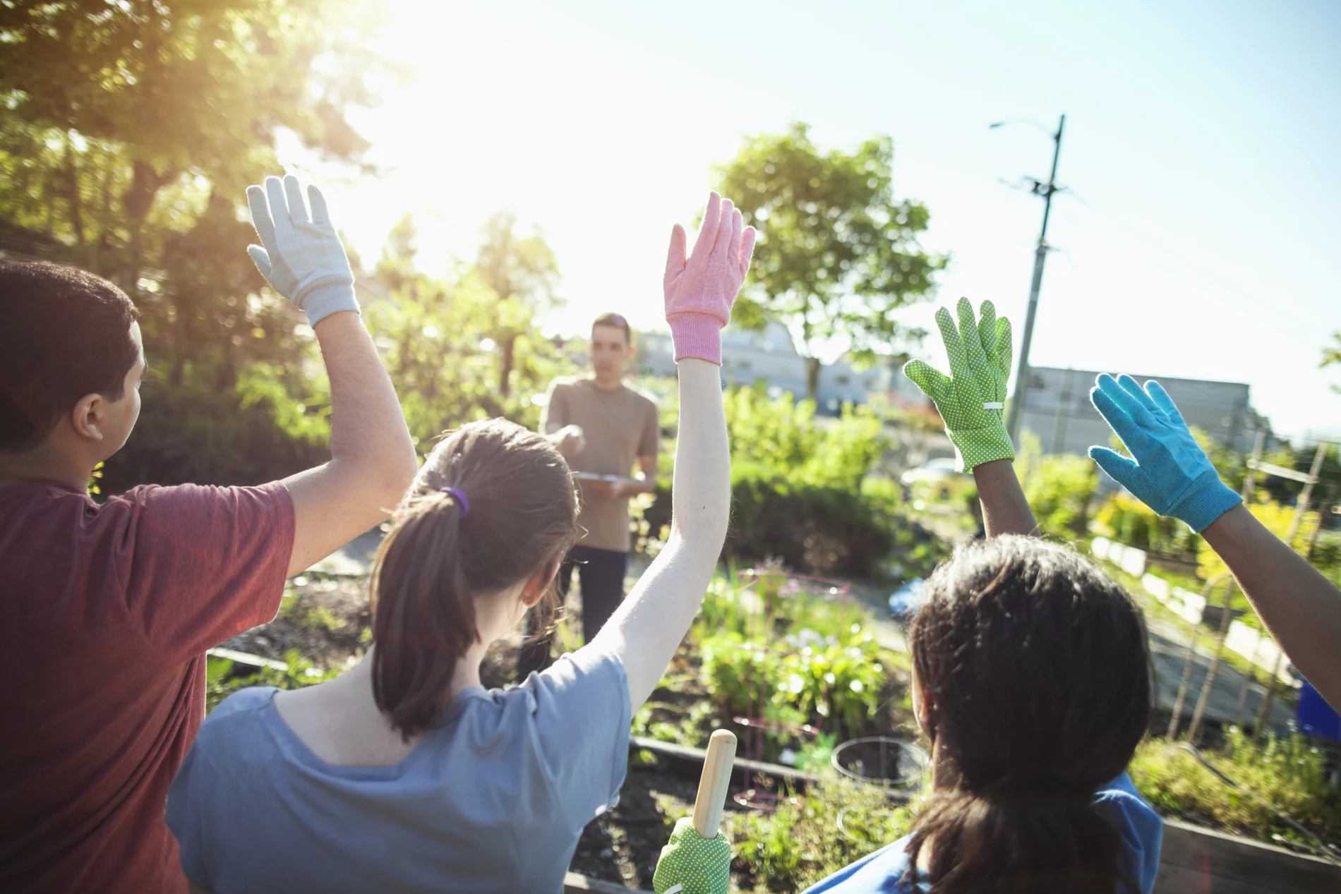 Multiracial group of young men and young women people students raise hands to volunteer help together in local community garden