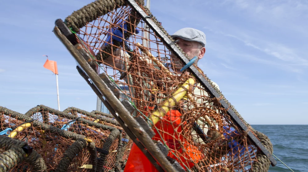 A happy fisherman pulls his lobster pot out of the sea into his boat. He is wearing bright orange overalls and blue gloves to protect his hands.