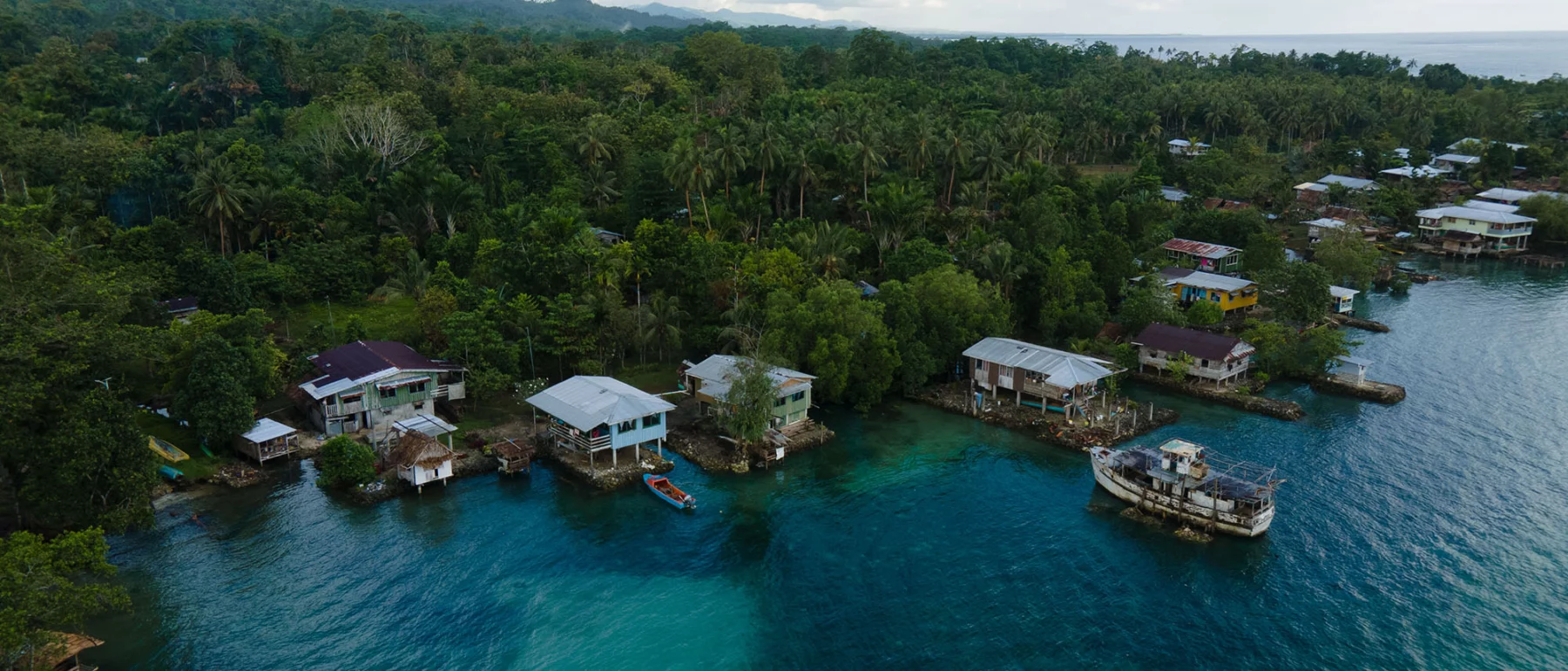 Aerial view of houses at the water's edge, with boats on deep blue and aquamarine water, and green forest to the horizon.