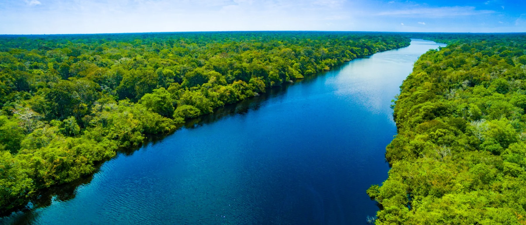 Aerial view of the Amazon River flowing through dense rainforest.