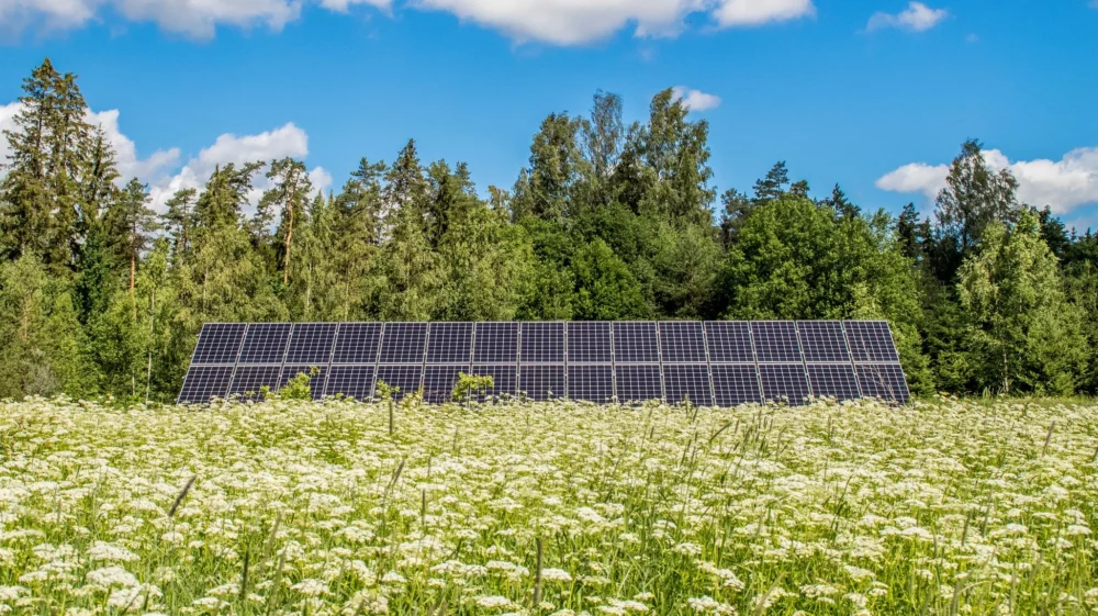 Small solar energy farm on beautiful natural meadow in nature.