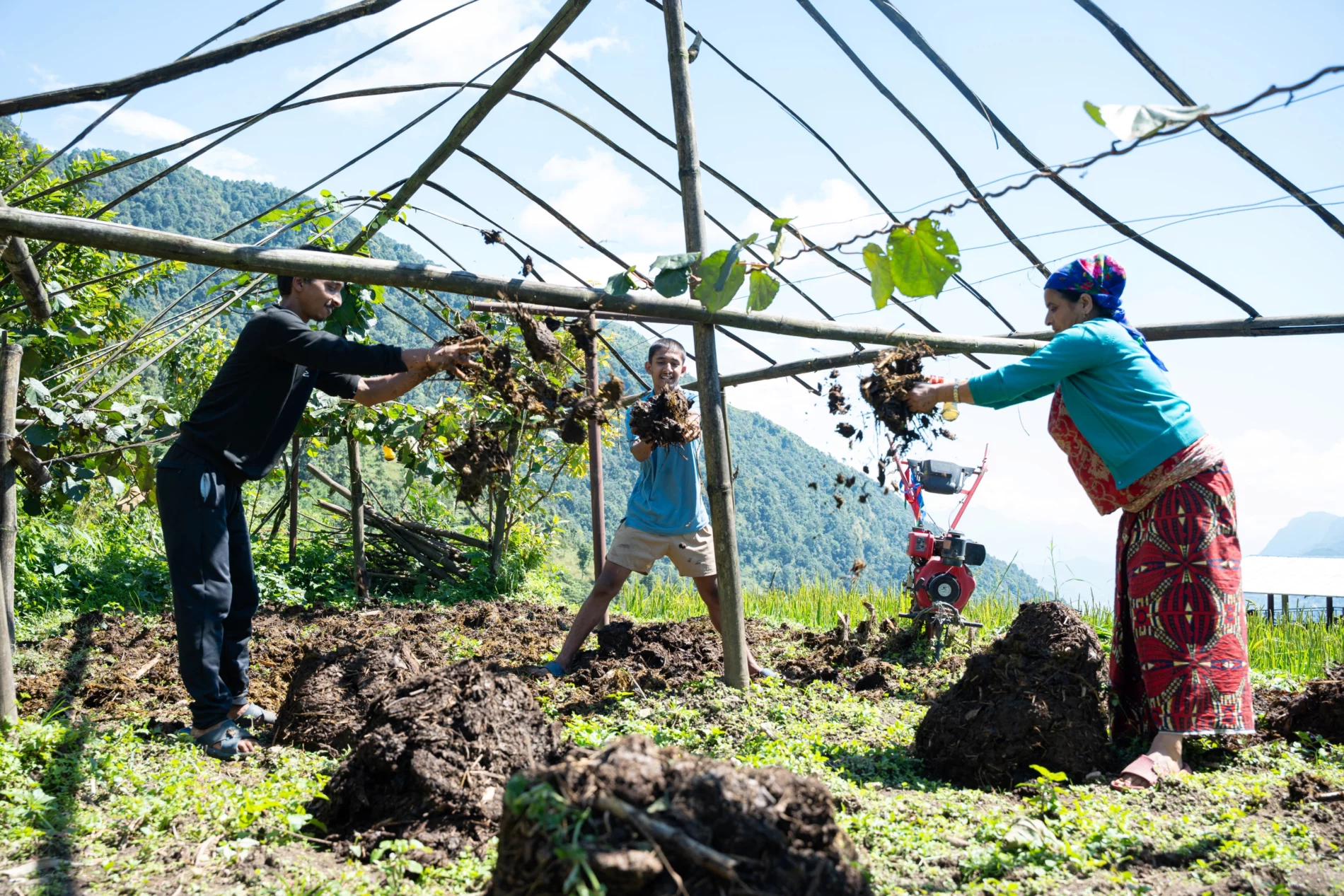 farm work