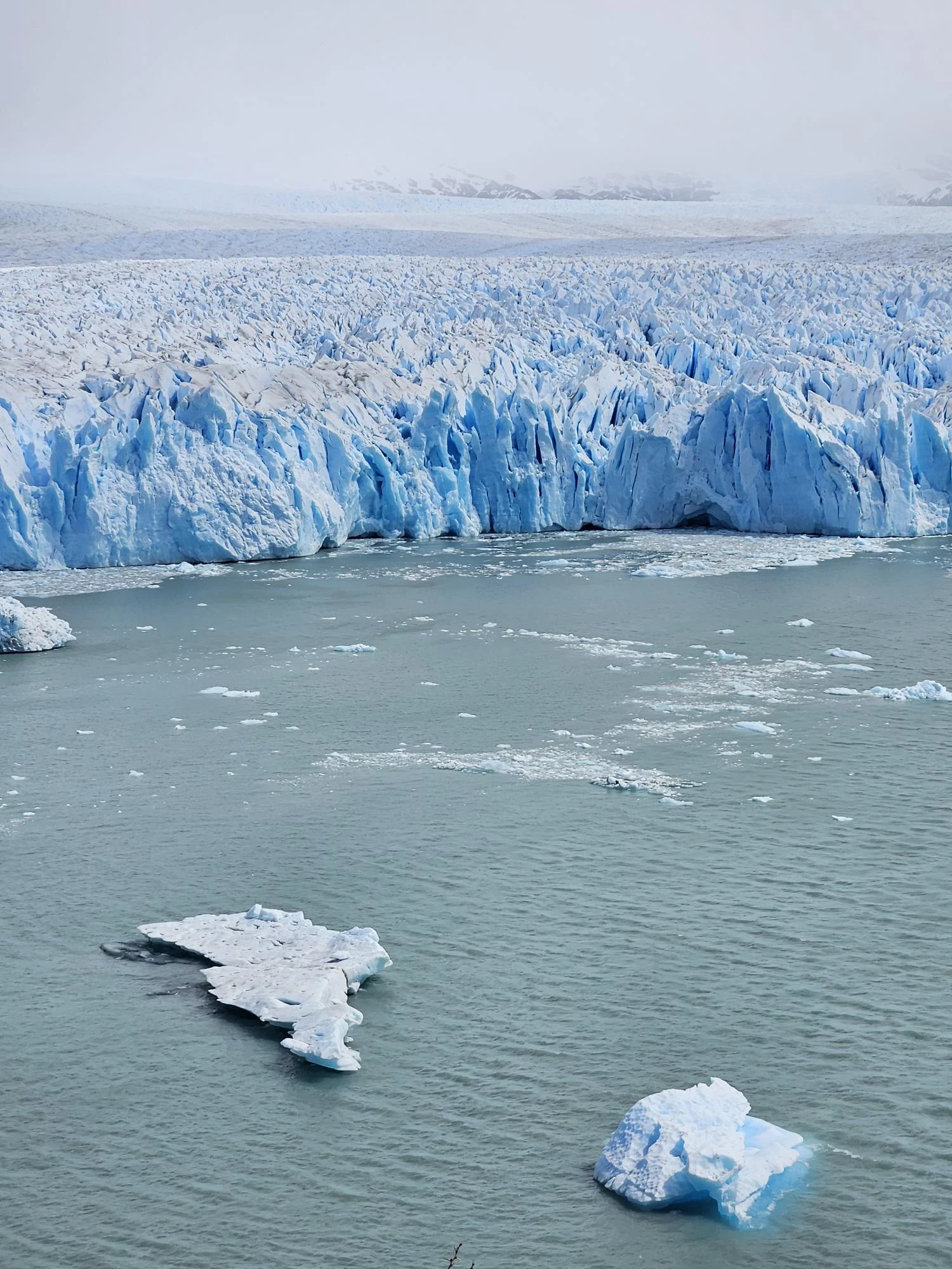 The Perito Moreno glacier as seen from the walkway