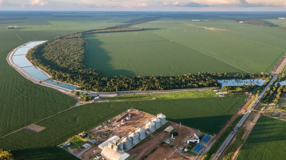 Grain storage/silo and soybean monoculture area in Sorriso, Mato Grosso state, Brazil.