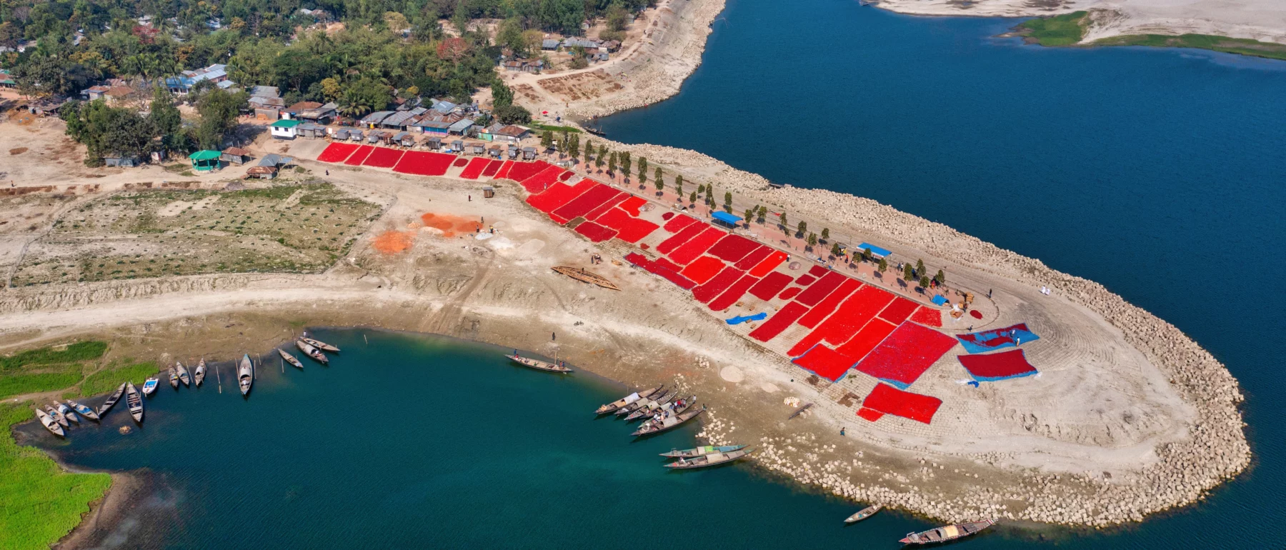 Red squares on a dry dirt peninsula with deep blue water all around are chili peppers drying, with green forest on the mainland stretching to the gray blue horizon.