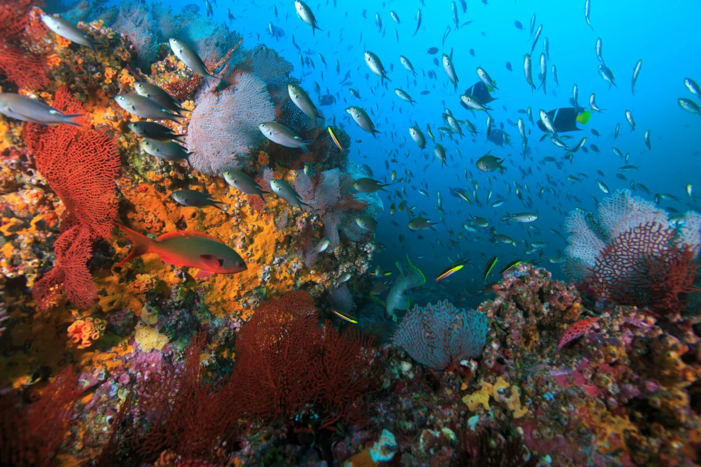 SEI research on coastal resilience endorsed for the Ocean Decade | SEI