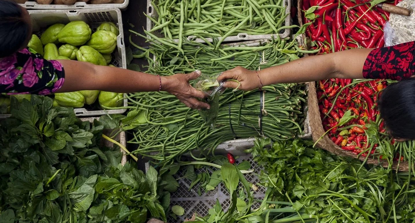 Fresh fish and vegetables at a local market, representing food supply chains and local food systems.