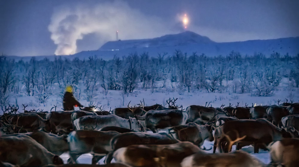 A herd of reindeer are in focus in the foreground, with a herder in a yellow reflective helmet. At the far horizon is the Kiruna mountain with smoke rising into the blue gray sky.