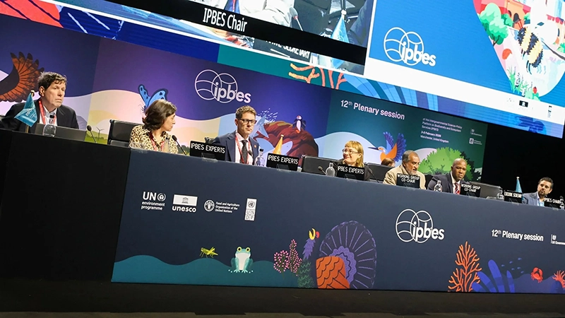 A panel of people seated at a long curved desk on a stage, with large screens behind them showing the IPBES logo and