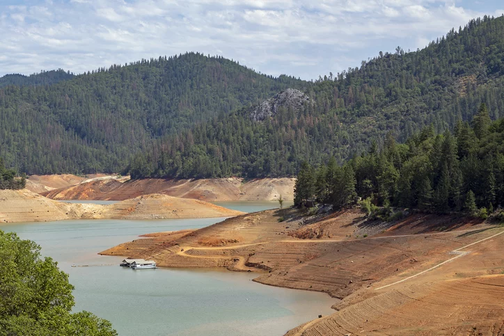 This image shows Shasta Lake, with low levels of water surrounded by a lush forest.