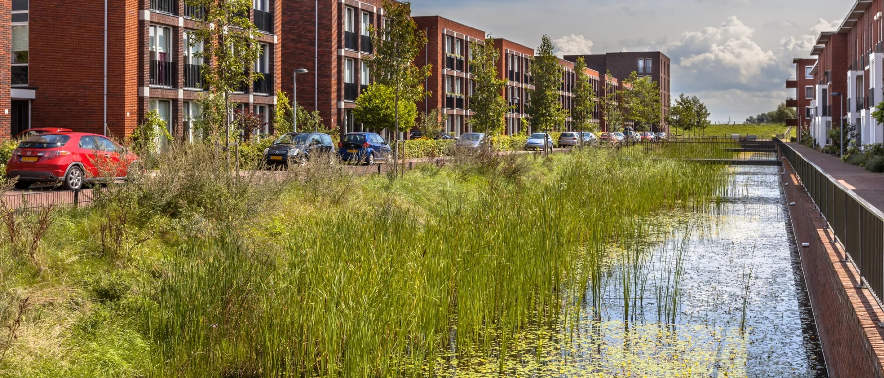 Modern street in Wageningen, Netherlands, showing eco-friendly middle-class family homes along both sides of a river with a natural flow and lush vegetation along the riverbanks.