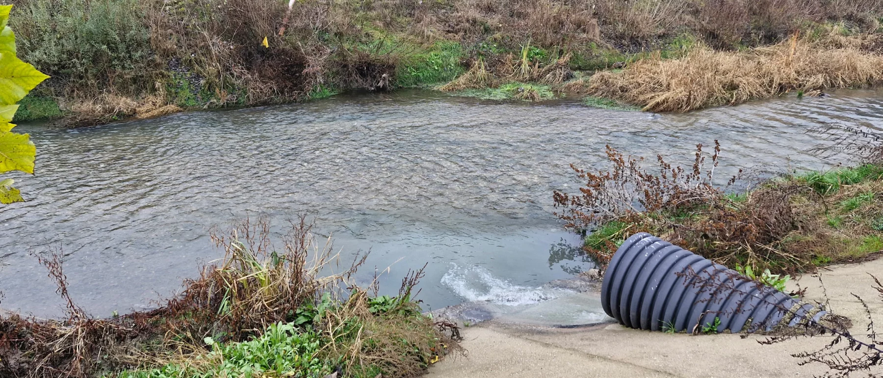 Water flows out of a drain into a stream in the foreground, which is flowing past a shrub-covered bank and a cluster of white farm buildings in the background on the other side of the stream.