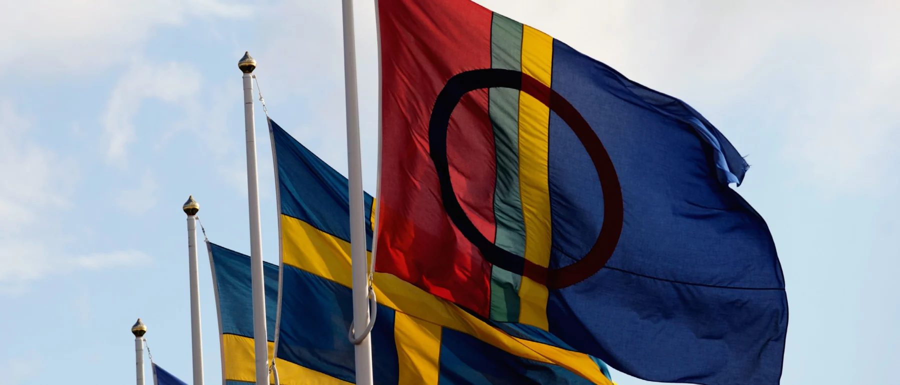 The red-green-yellow-blue striped flag with the black circle of the Sami flies in the foreground, with several blue and yellow Swedish flags behind.