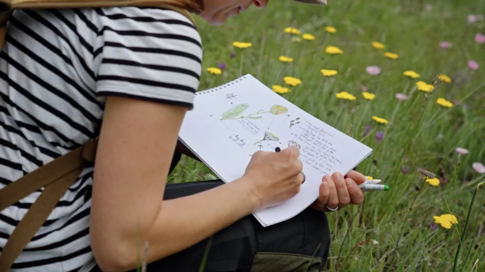 Close-up of person in a meadow, drawing plants and writing in a sketch book. Journaling