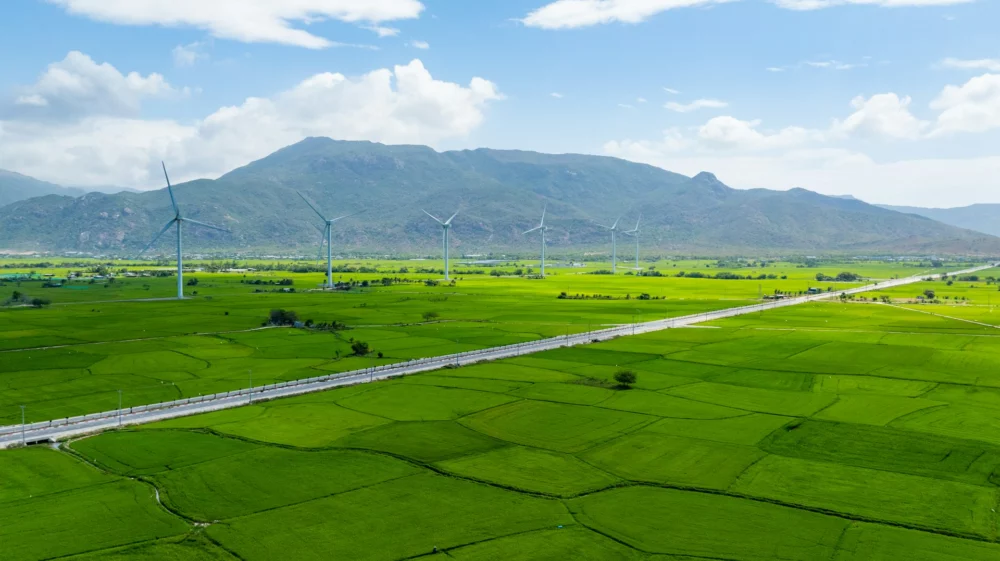 Wind turbines rising over green rice paddies with a mountain range behind, under a bright blue sky.