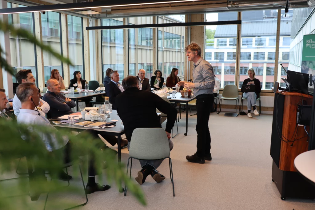 SEI researcher talking to the BiH delegation
