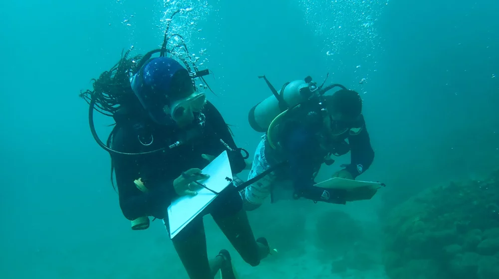 Two scuba divers underwater taking notes on slates while surveying a coral reef.