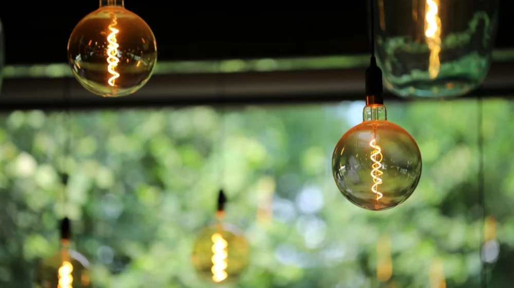 Glowing pendant light bulbs hanging in front of a softly blurred green background.