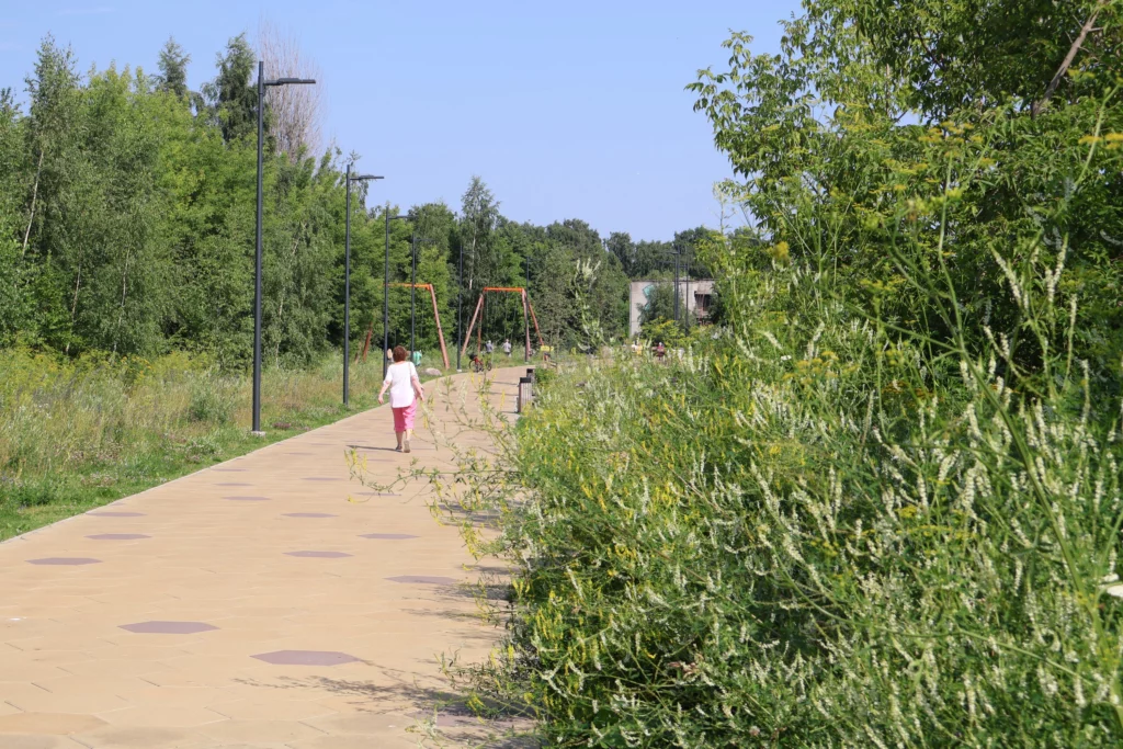 Naine kõnnib kõnniteel läbi õitsva putukaväila, kaugemal kiiged ja mängivad lapsed.