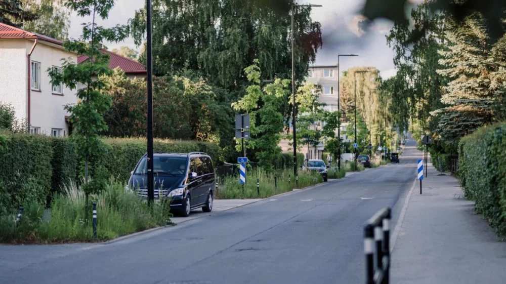 A peaceful residential street flanked by tall trees, dense green hedges, and lamp posts on a summer evening.