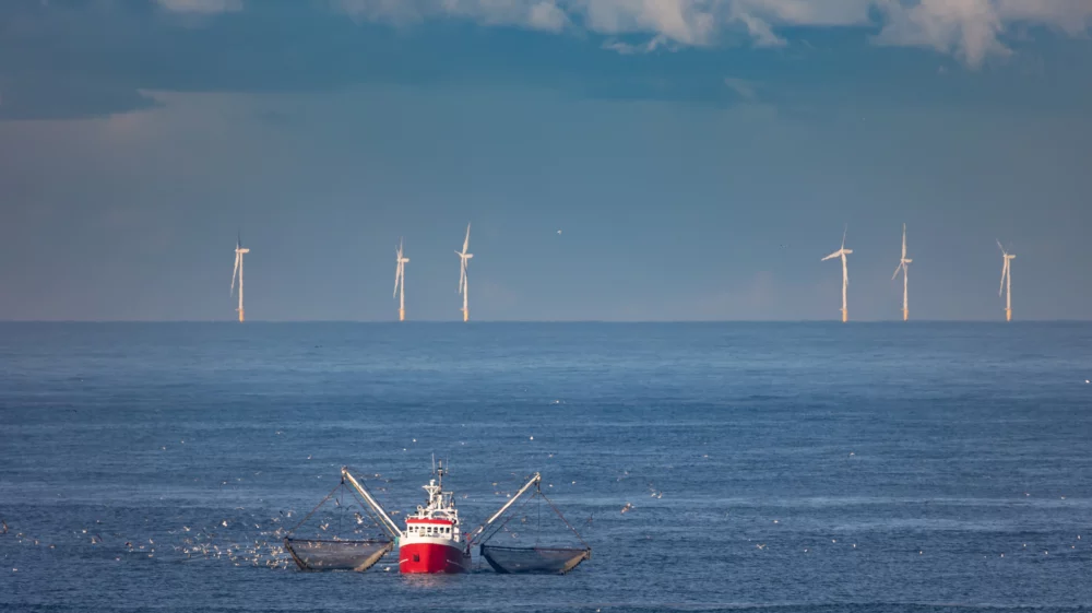 A cutter with lifted drag nets on the North sea with wind turbines in the background