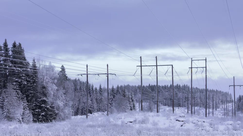 Power lines running through snow-covered forest under a pale winter sky.