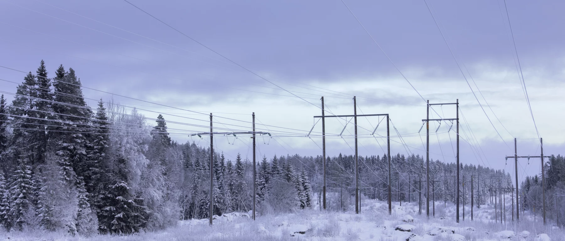 Power lines running through snow-covered forest under a pale winter sky.