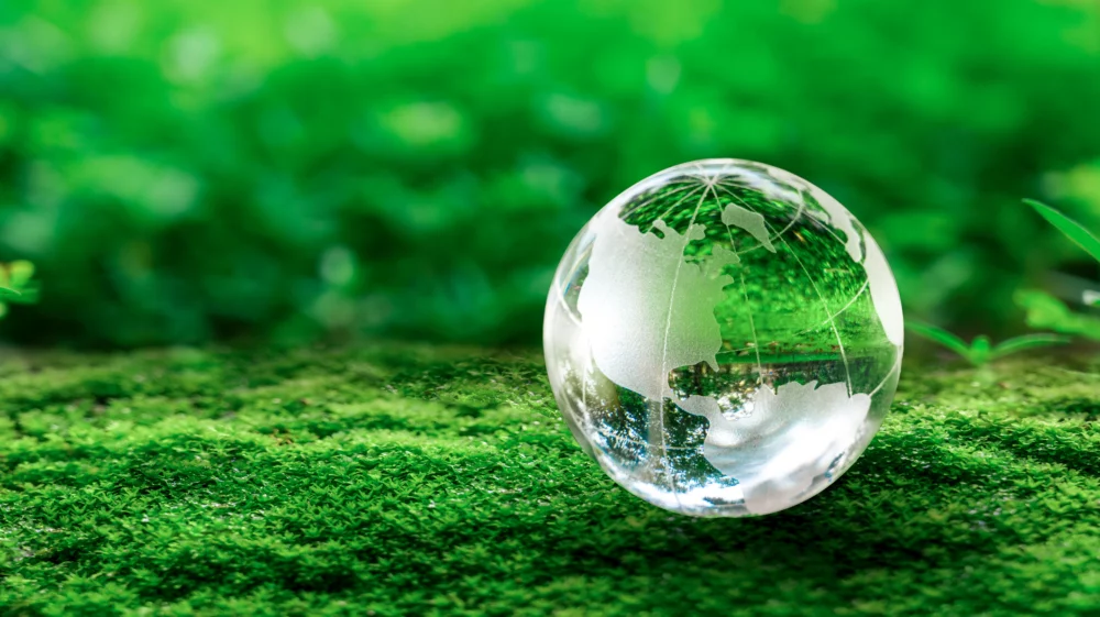 Crystal glob showing North America, northern part of South America and the north Atlantic Ocean rests on green moss in a forest.