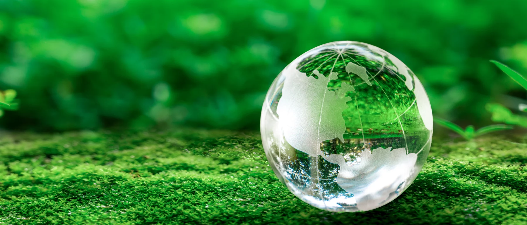 Crystal glob showing North America, northern part of South America and the north Atlantic Ocean rests on green moss in a forest.