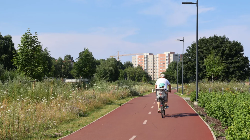 Adult cycling on a dedicated bike path with a young child in a rear-mounted child seat, surrounded by wildflower meadows and urban greenery, with residential apartment blocks and a construction crane visible in the background on a sunny summer day.
