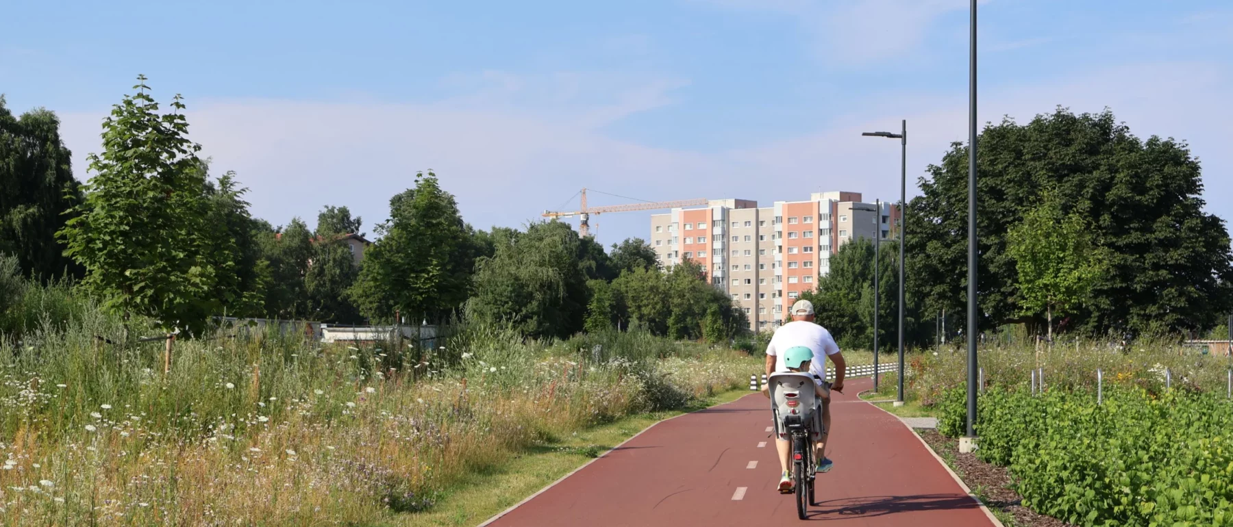 Adult cycling on a dedicated bike path with a young child in a rear-mounted child seat, surrounded by wildflower meadows and urban greenery, with residential apartment blocks and a construction crane visible in the background on a sunny summer day.