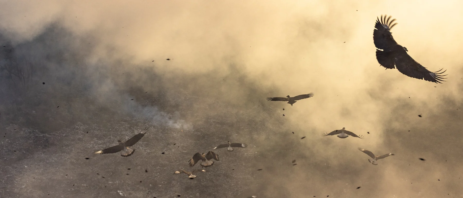 Birds fly above burning waste at the municipal landfill in Teófilo Otoni. Minas Gerais State, Brazil. July 27 2025.