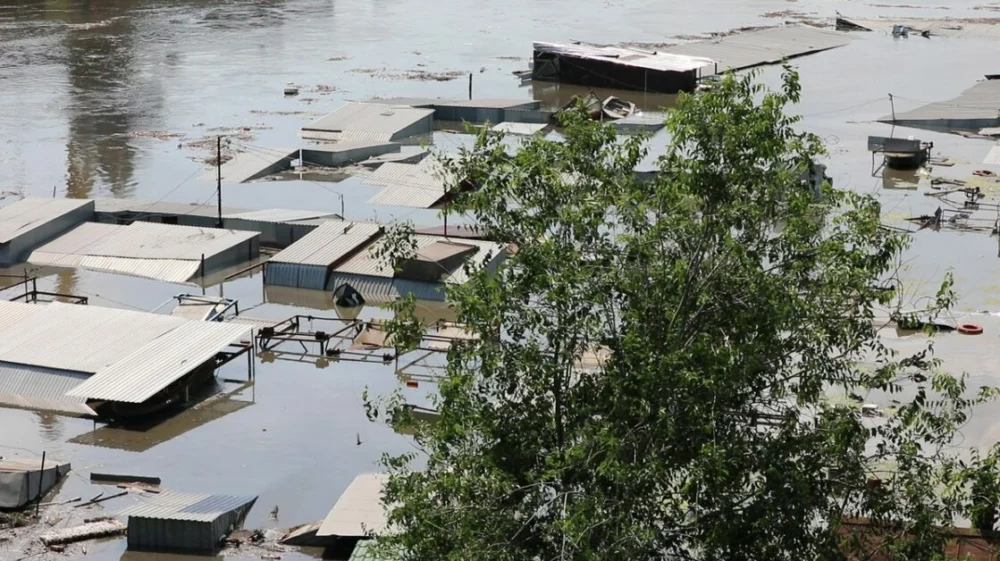 Metal roofed structures stand with water nearly up to the eaves, with a tree in the foreground, and flooded river in the background.