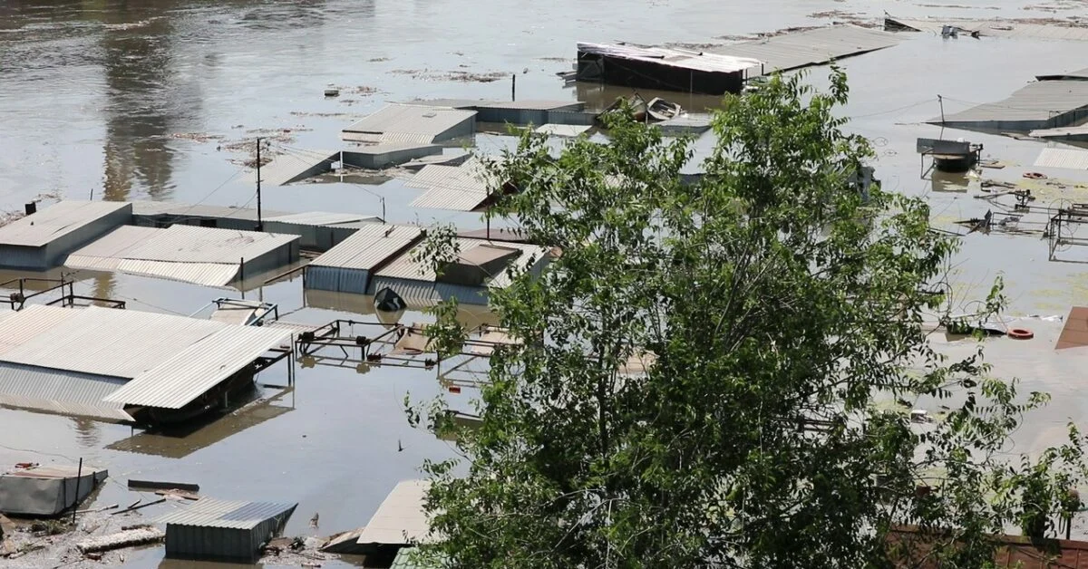 Metal roofed structures stand with water nearly up to the eaves, with a tree in the foreground, and flooded river in the background.