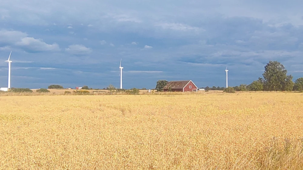 Vindkraftverk och fält med korn utanför Vättern, en av Sveriges största sjöar.