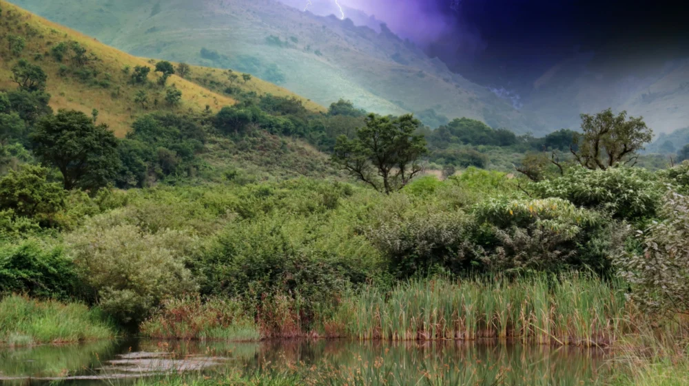 Lightning strikes a green mountainside overlooking a green wetland and pond in South Africa.