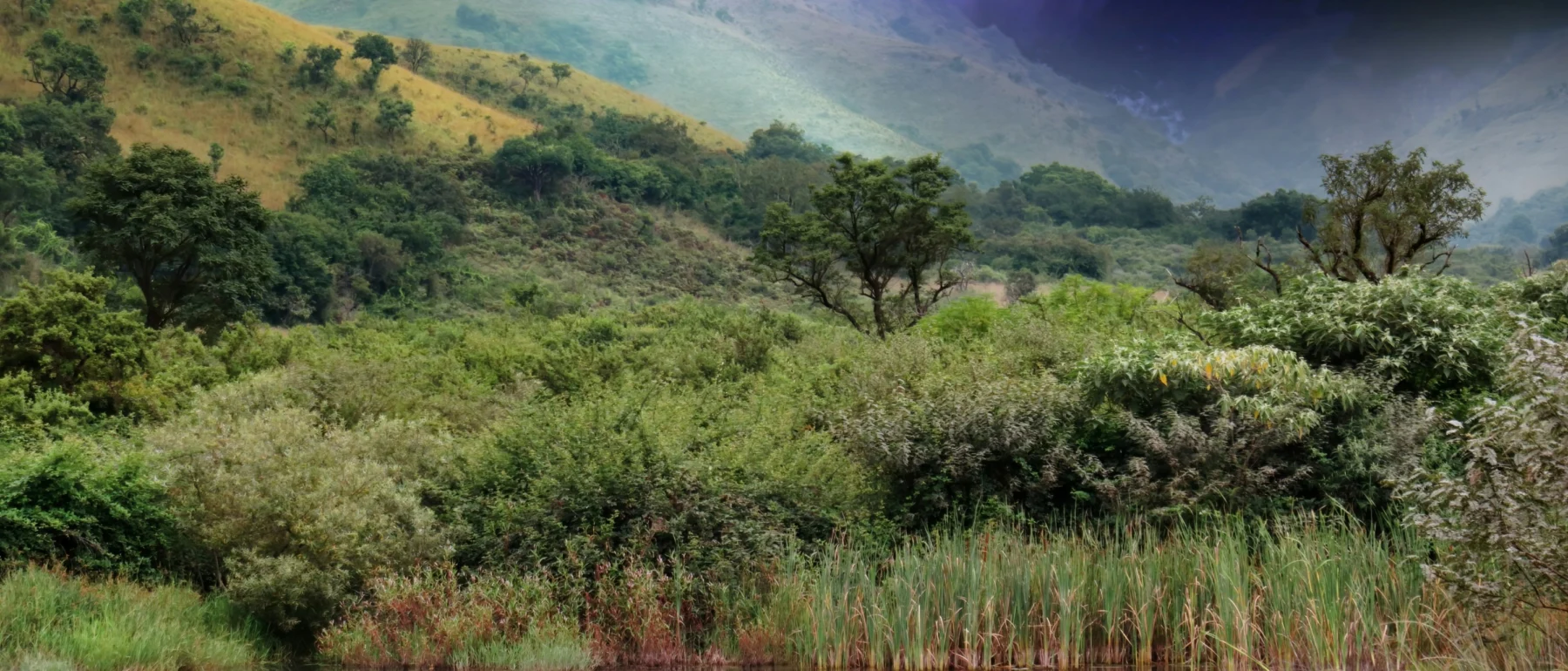 Lightning strikes a green mountainside overlooking a green wetland and pond in South Africa.