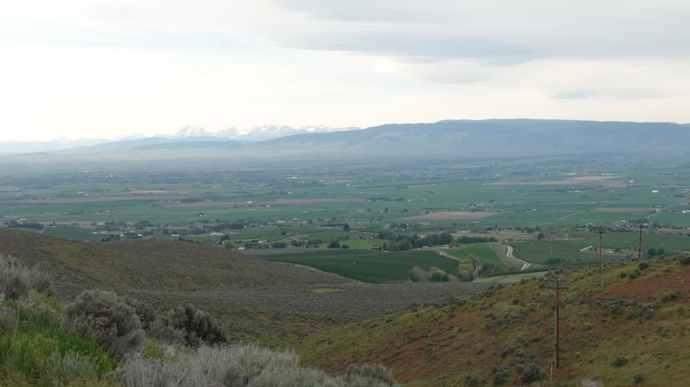 View of the Yakima Valley, mostly green with some trees and brown patches denoting agricultural plots. The valley is under and overcast sky and the Cascade mountains can be faintly seen on the horizon.