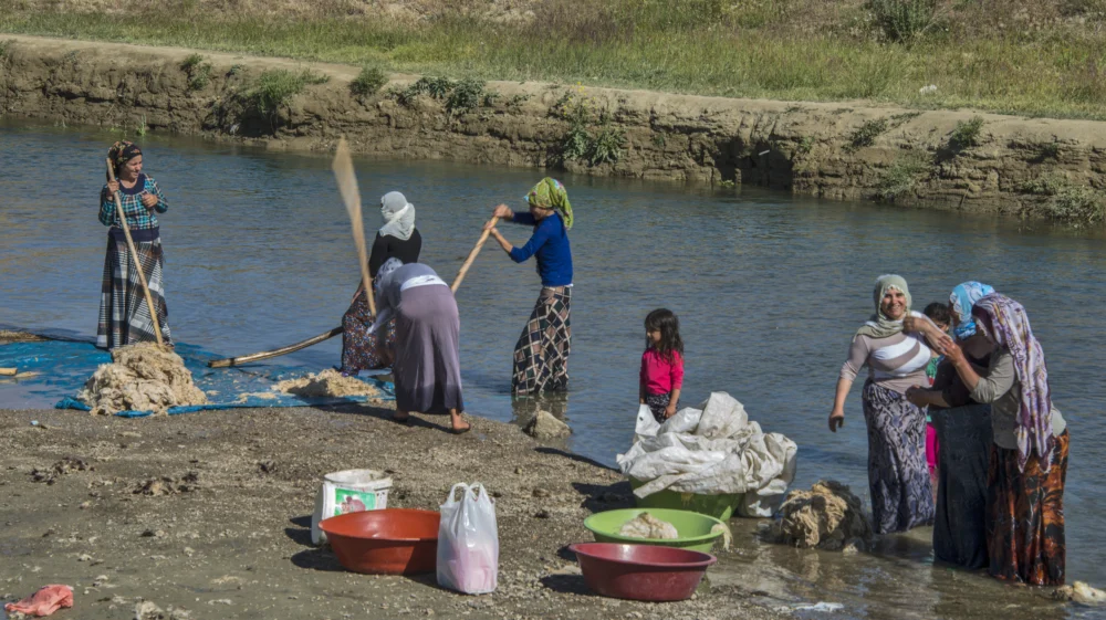 Women traditionally washing and cleaning wool in the river in Andac, Van in Eastern Turkey