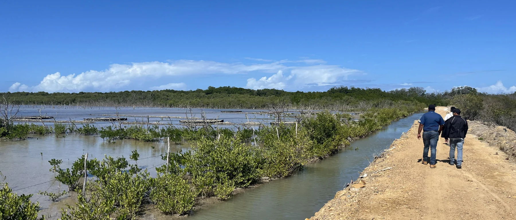 Channels contribute to the rehabilitation of mangroves in Montecristi, Dominican Republic.