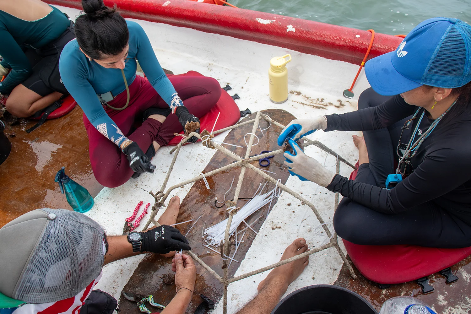 Preparing to deploy a coral reef star in Varadero, Colombia.