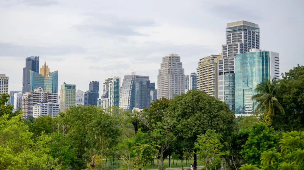 Serene park landscape with towering skyscrapers in the background