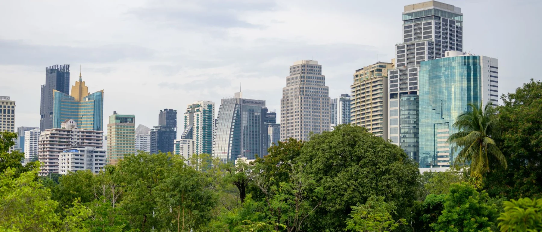 Serene park landscape with towering skyscrapers in the background